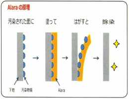 Alaraの原理